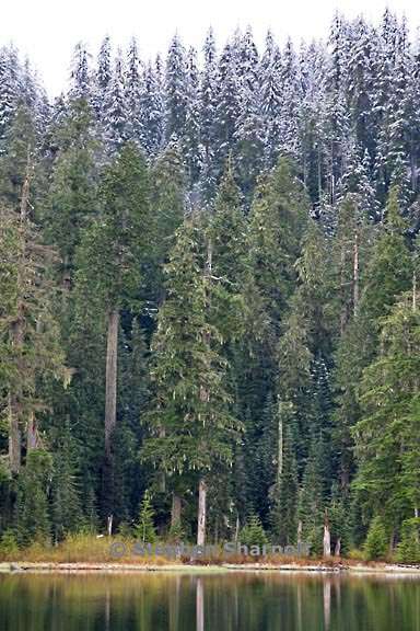 crabtree lake 2 graphic